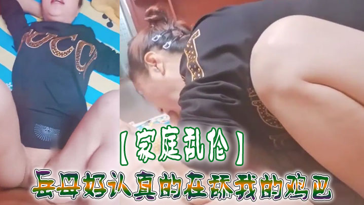 家庭乱伦岳母好认真的在舔我的鸡吧视频